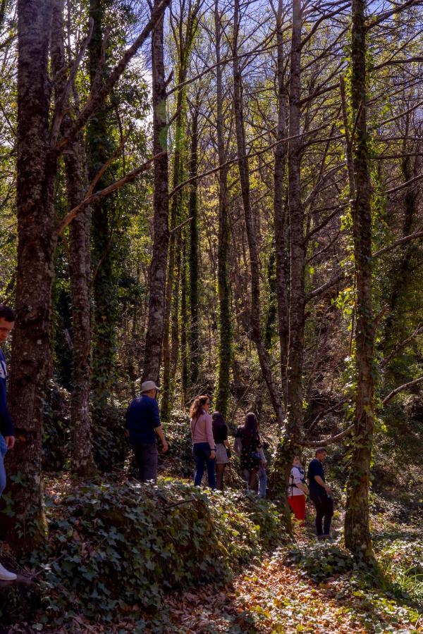 La Canada Del Valle Del Jerte Navaconcejo Kültér fotó