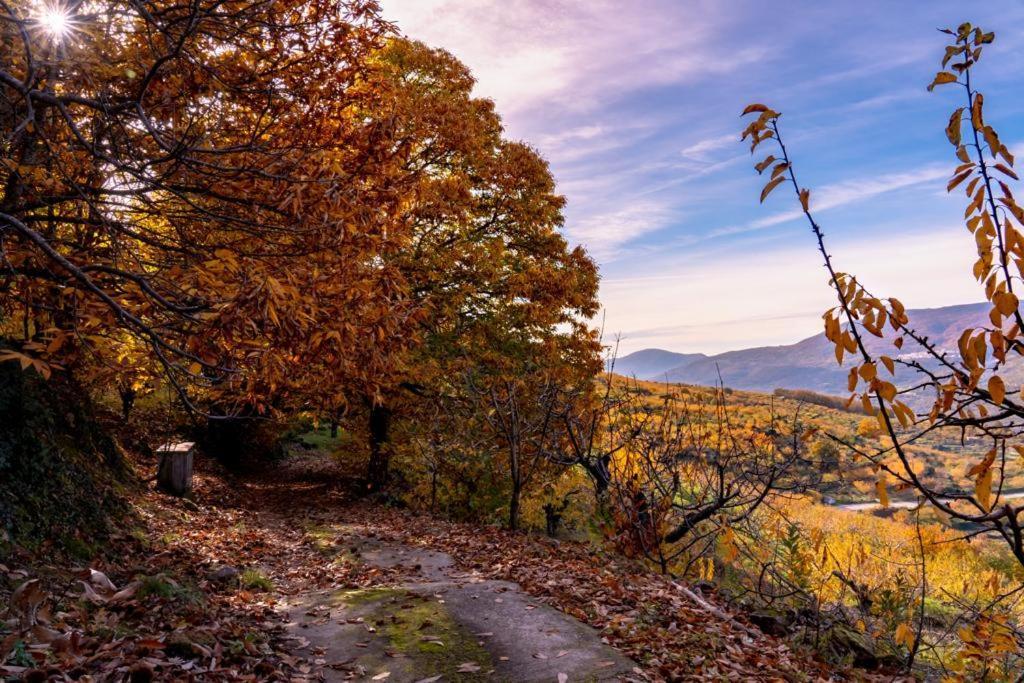 La Canada Del Valle Del Jerte Navaconcejo Kültér fotó